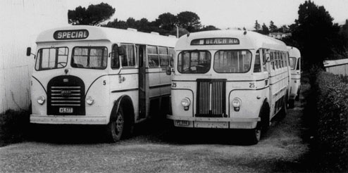 Early Seddon and Mac Buses